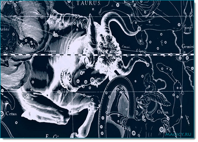 Телец - оригинал