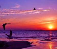 Схема вышивки «Восход солнца над морем»