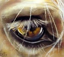 Схема вышивки «Грустный взгляд»