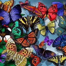 Схема вышивки «Бабочки»