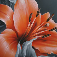 Схема вышивки «Лилия»