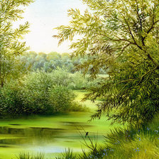 Схема вышивки «лето»