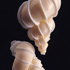 Схема вышивки «Ракушки на черном. 2»