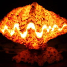 Схема вышивки «Ракушки на черном. 10»