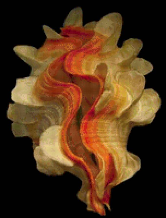 Ракушки на черном. 12 - ракушка, черный фон - предпросмотр