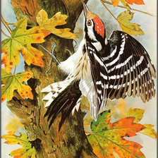 Схема вышивки «№1003197»