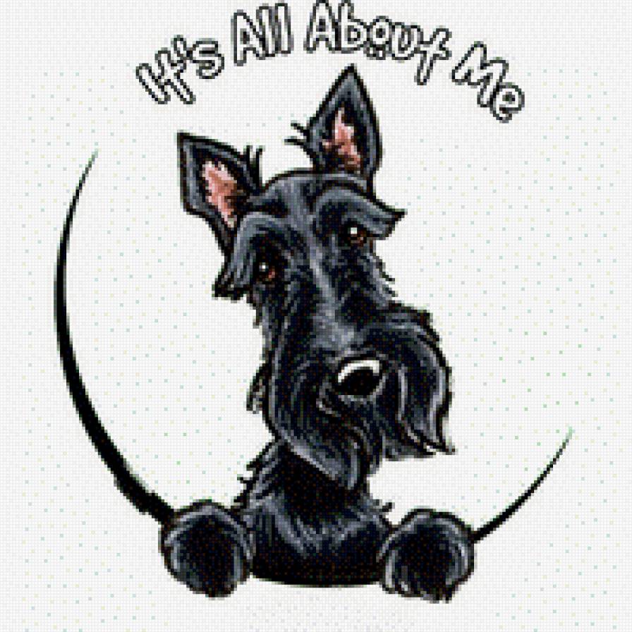 Скотч - это все обо мне - животные, скотч терьер, скотти, собаки - предпросмотр