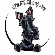 Схема вышивки «Скотч - это все обо мне»