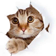 Схема вышивки «101»