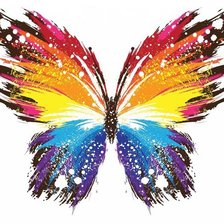 Схема вышивки «красивая бабочка»