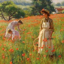 Схема вышивки «The Poppy Field»