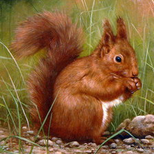 Схема вышивки «0226»