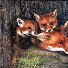 Схема вышивки «0228»