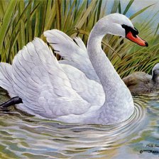 Схема вышивки «0230»