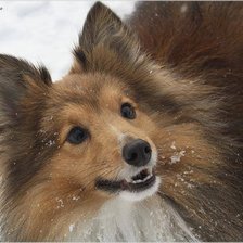 Схема вышивки «Смайл»