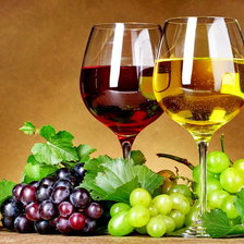 гармония вин