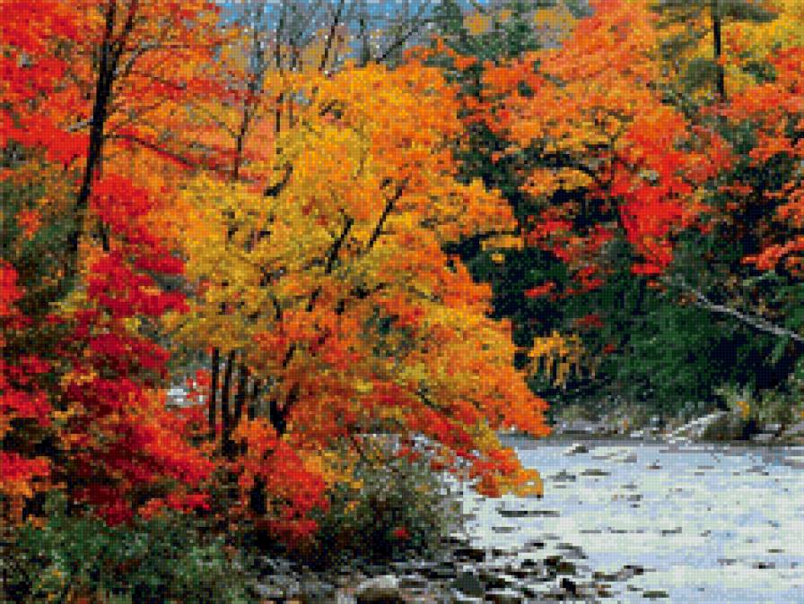 осень - река, лес - предпросмотр