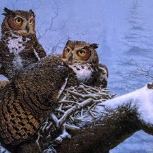 Семейное гнездо