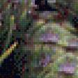 Предпросмотр схемы вышивки «шишки» (№1004578)