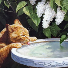 Схема вышивки «Кот у сирени»