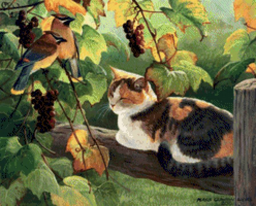 Кот и свиристели - деревня, кот, птицы, лето - предпросмотр