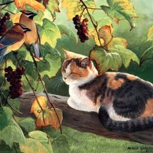 Схема вышивки «Кот и свиристели»