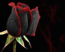 Схема вышивки «№1005150»