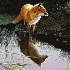 Схема вышивки «лиса на озере»