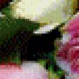Предпросмотр схемы вышивки «розы» (№1005455)