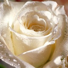 Схема вышивки «розы»