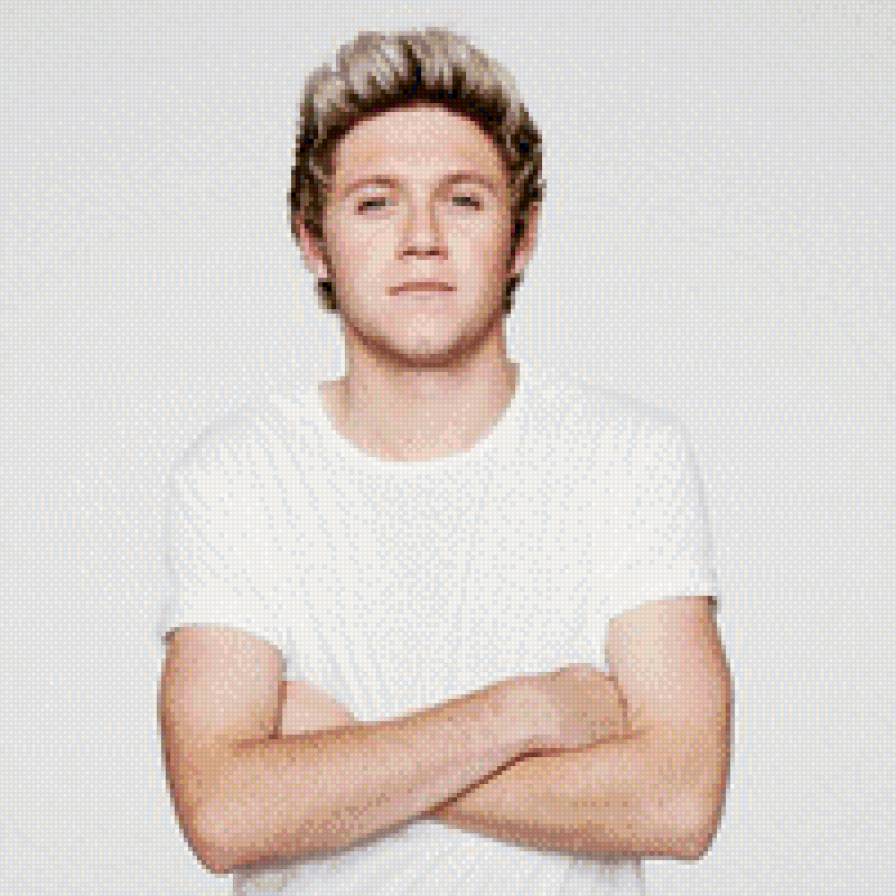Niall Horan - one direction - предпросмотр