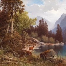 Лесная речушка