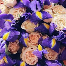 Схема вышивки «цветы»