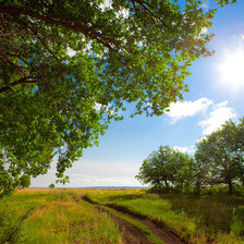 Схема вышивки «Тропинка»