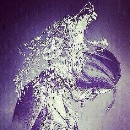 volk - оригинал