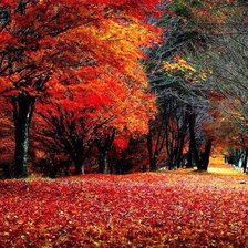 Схема вышивки «Осенние деревья»