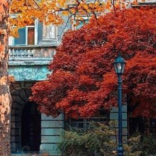 Схема вышивки «Осенняя улица»