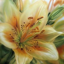 Схема вышивки «ЛИЛИ»