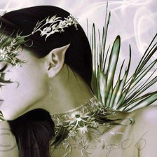 Схема вышивки «Девушка-фентези1»