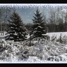 Схема вышивки «снежный лес»
