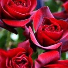 Схема вышивки «№1006880»