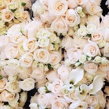 Схема вышивки «№1006887»