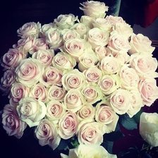 Схема вышивки «№1006919»