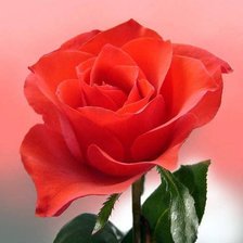 Схема вышивки «№1006986»