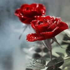 Схема вышивки «№1007019»