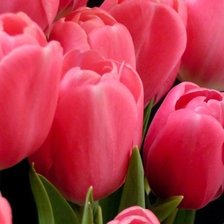 Схема вышивки «№1007022»