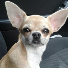 Схема вышивки «Нюша.»