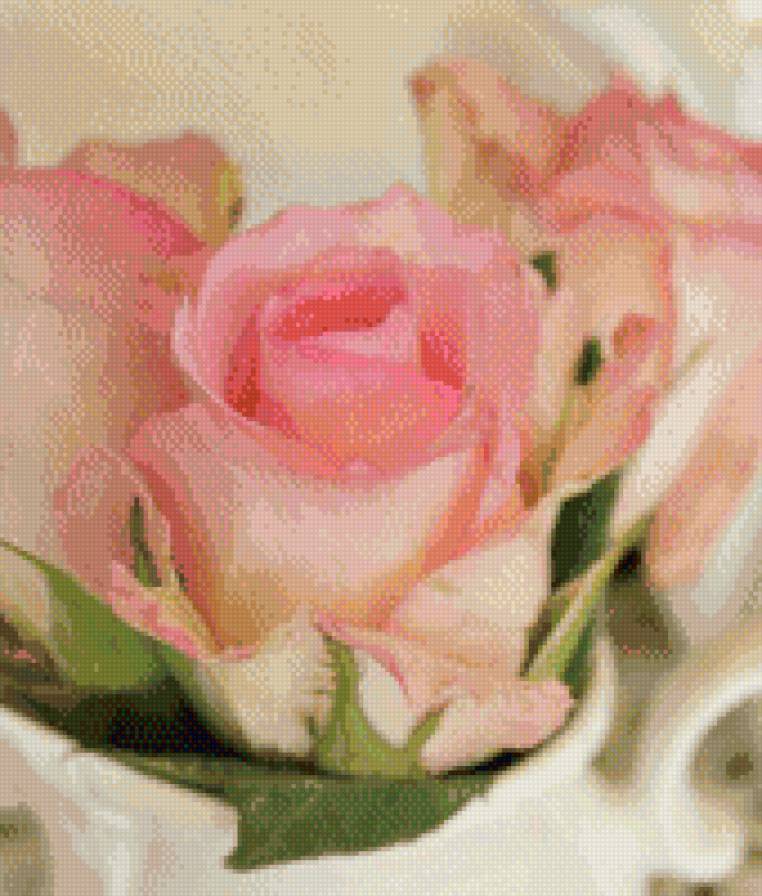 №1007152 - цветы, розы - предпросмотр