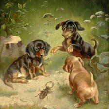 Схема вышивки «Щенки и жук»