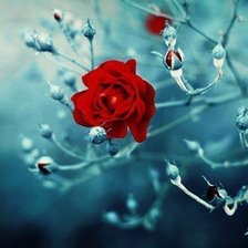 Схема вышивки «№1007170»